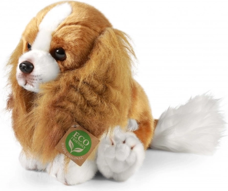 Plüss kutya, Cavalier King Charles spániel 28 cm, környezetbarát