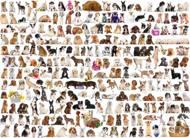 Eurographics kutyavilág puzzle 1000 darab