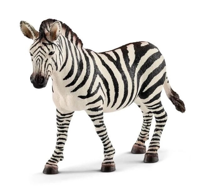 zebra nőstény figura