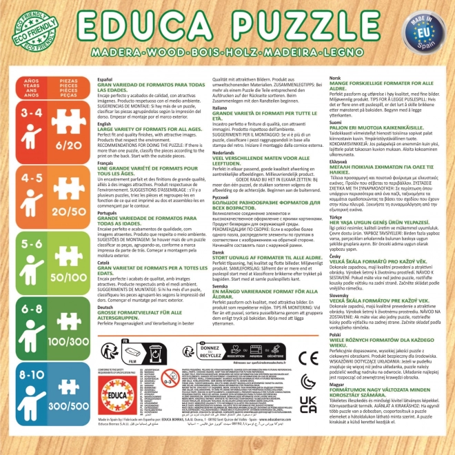 Educa fa puzzle Jégvarázs készlet