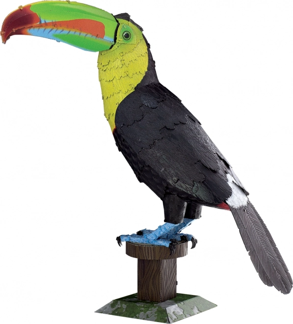 Fém 3D puzzle Tukán rövidcsőrűre