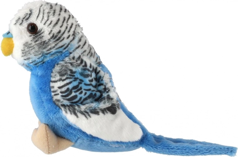 Élethű toll- és megjelenésbeli részletek