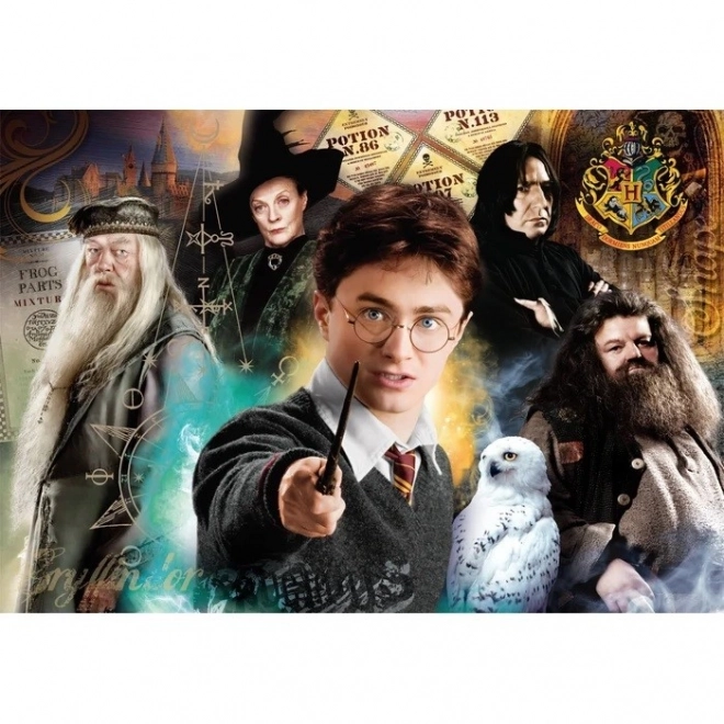 Harry Potter 1000 db-os kompakt puzzle