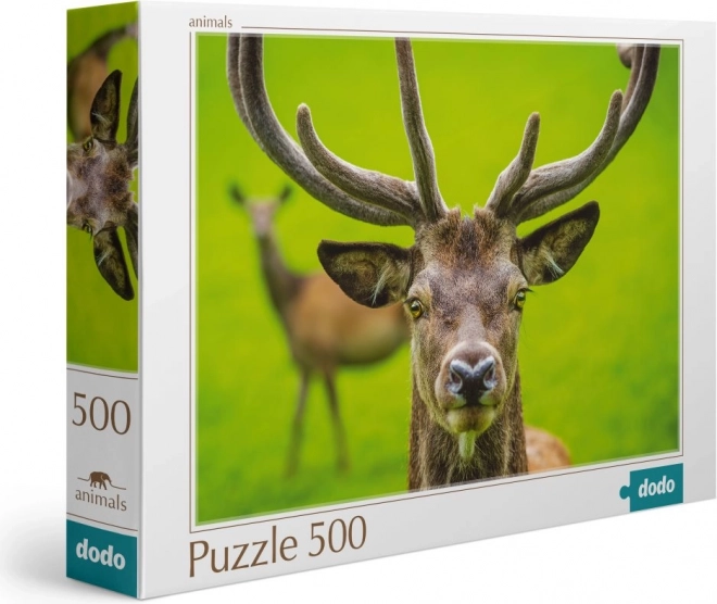 Dodo szarvas puzzle 500 darabos