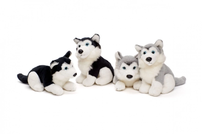 Plüss Husky kutya 15 cm