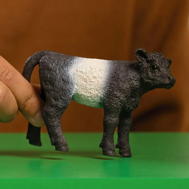 Galloway borjú figura