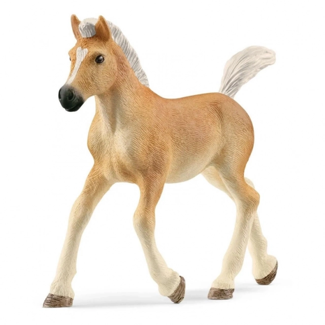 Haflinger csikó figura