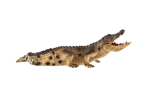Realista részletek és természetes színek