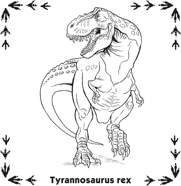 Pexeso Dinoszauruszok
