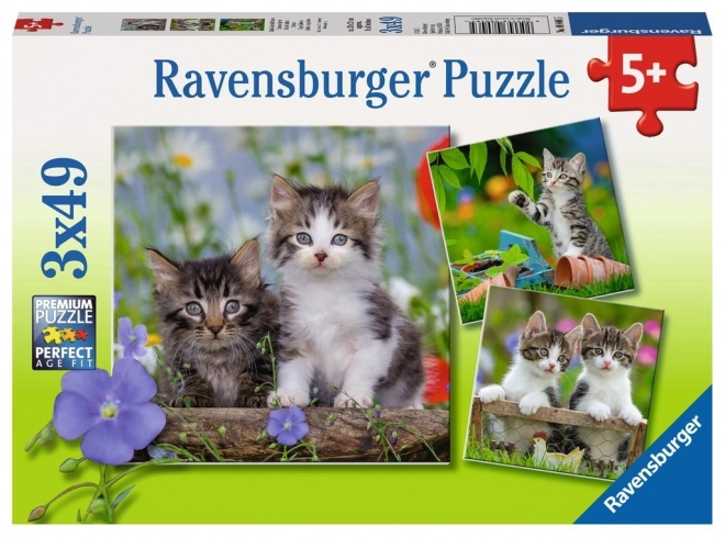 Ravensburger puzzle kiscicák 3x49 darab