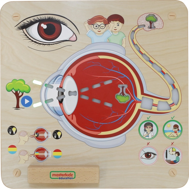 Masterkidz Oktatási észlelőtábla Montessori