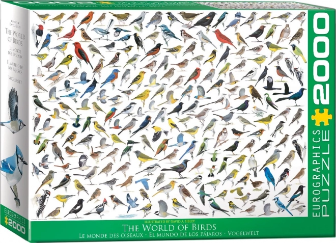 Világ madarai puzzle - 2000 darabos