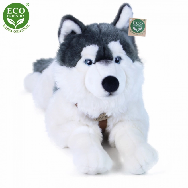 Husky plüssfigura hámnál eco-friendly 60 cm