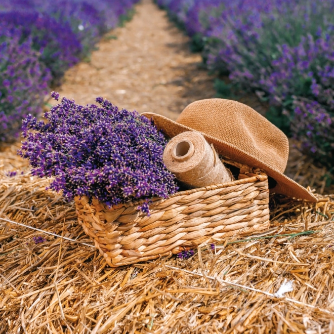 Provence Jegyzetnaptár 2026