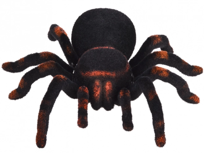 Távirányítós tarantula pók