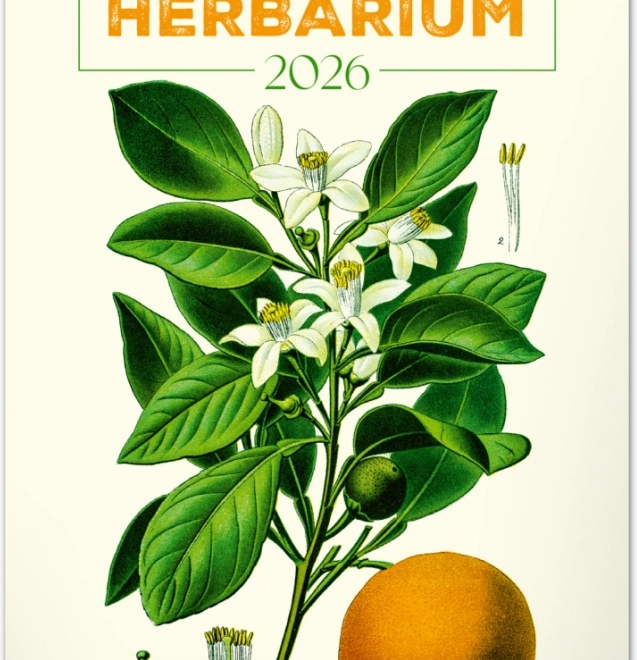 Fali naptár Vintage plakátok Herbárium 2026