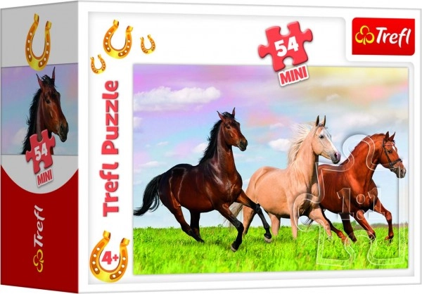 Gyönyörű lovas motívumok