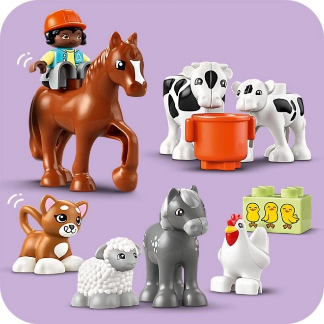 Duplo állatok gondozása a farmon