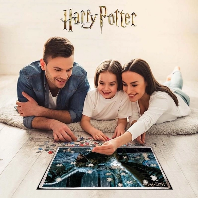 3D Harry Potter rejtvény XL