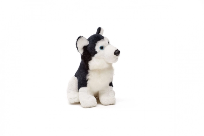 Plüss Husky kutya 15 cm