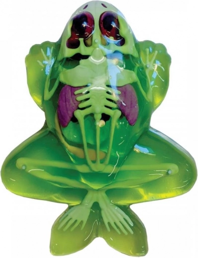 Három szórakoztató változat: béka, szalamandra, denevér