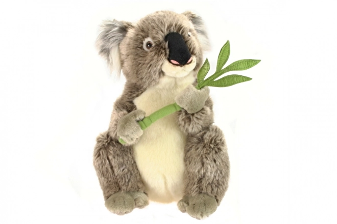 Puha koala plüss figura