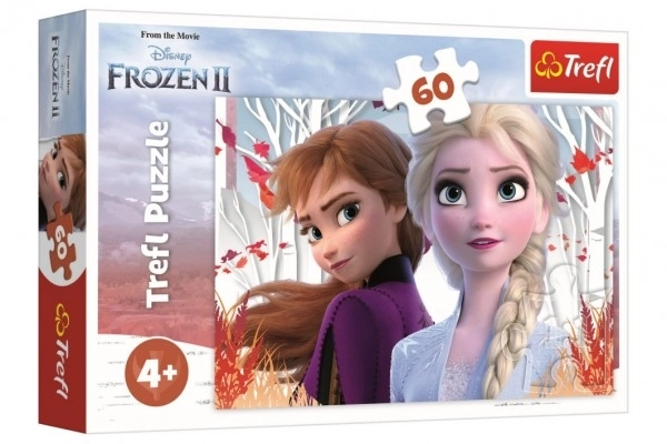 Varázslatos Jégvarázs Puzzle - Anna és Elsa