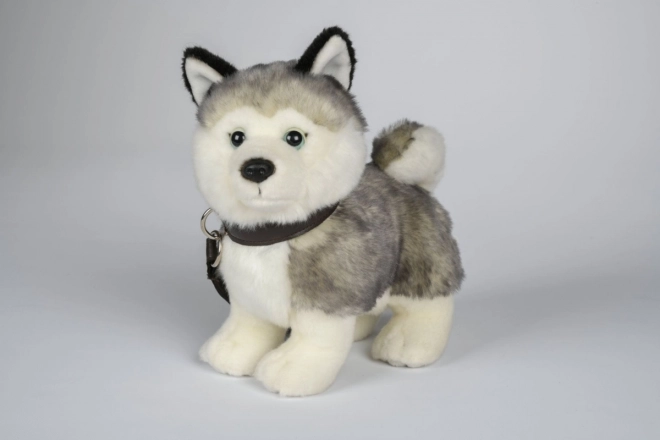 Husky plüssfigura pórázzal