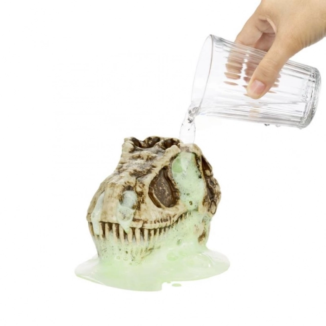 GrossMos dinoszaurusz koponya, 1. sorozat
