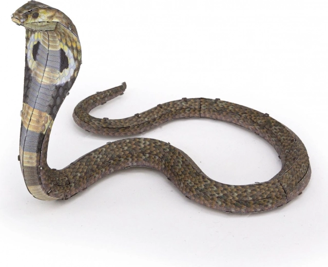 Hajlítható, látványos kobrapóz