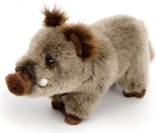 A vaddisznó élethű részletei