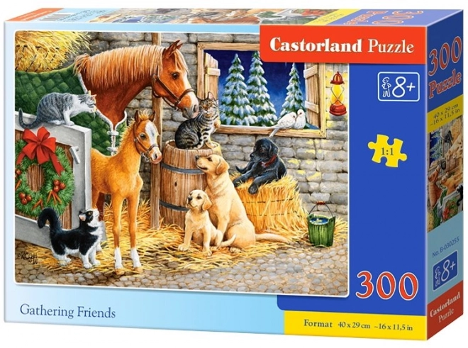 Gyűjtött barátok 300 darabos puzzle