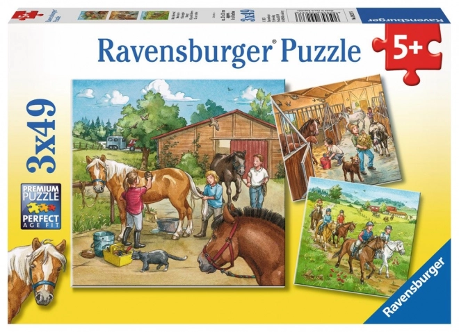 Ravensburger puzzle a lovaknál 3x49 darabos