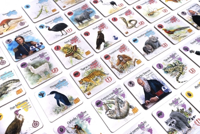 Darwin nyomában családi társasjáték