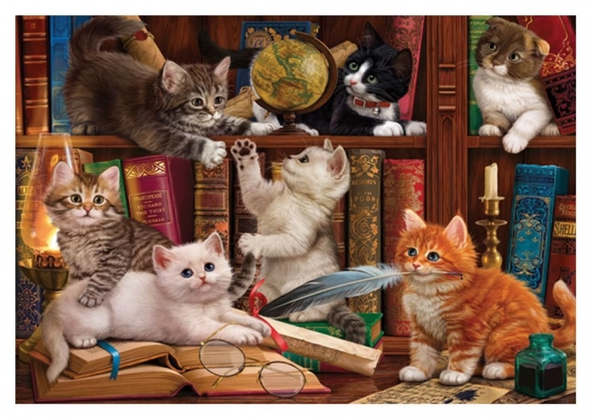 Puzzle Cicák a könyvtárban 500 darabos