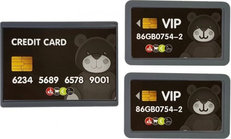 Fizetési terminál és kártyák