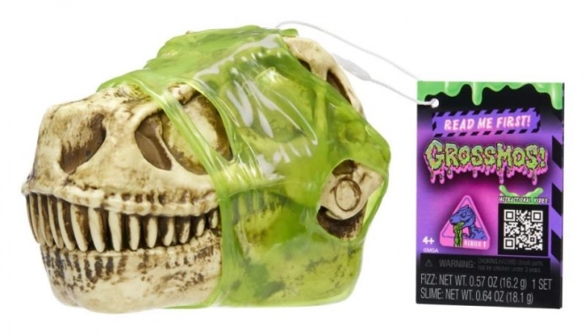 GrossMos dinoszaurusz koponya, 1. sorozat