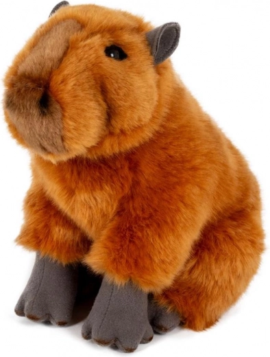 Mindennap puha és ölelni való