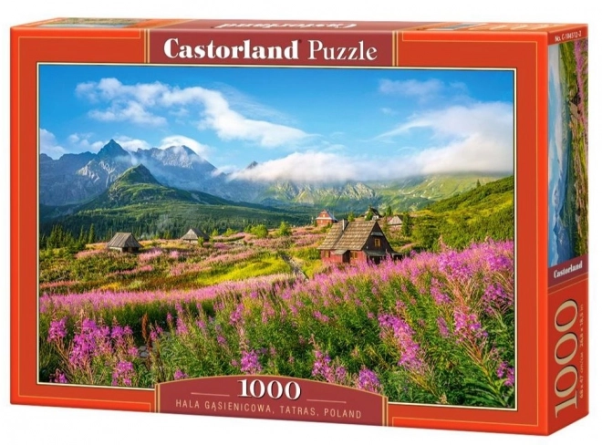 1000 darabos puzzle Hala Gąsienicowa a Tátrában