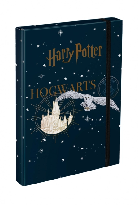 Deszkák A4-es Méretű Iskolai Füzetekhez - Harry Potter Roxfort Címer