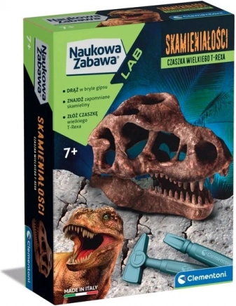 Tudományos készlet – T. rex koponya fosszília