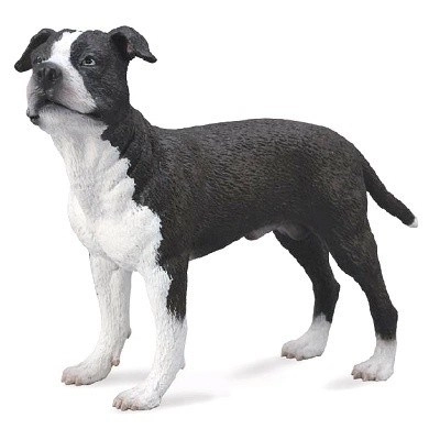 Amerikai Staffordshire Terrier figura