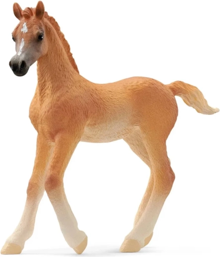 Arab csikó SCHLEICH Horse Club
