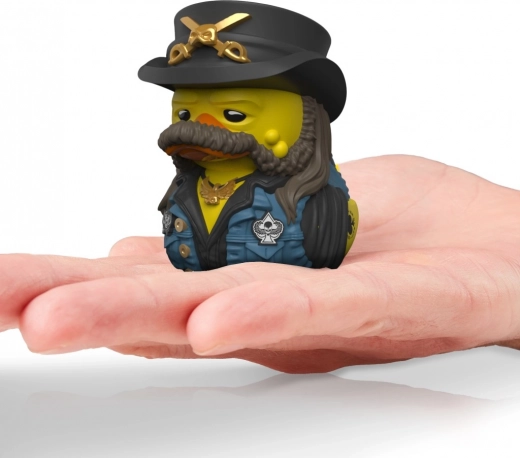 Kompakt és gyűjtői