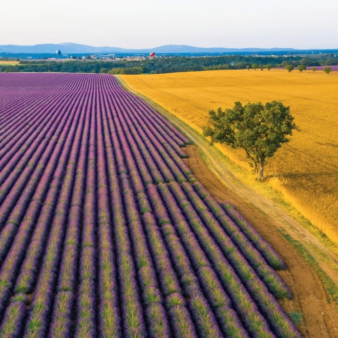 Provence Jegyzetnaptár 2026