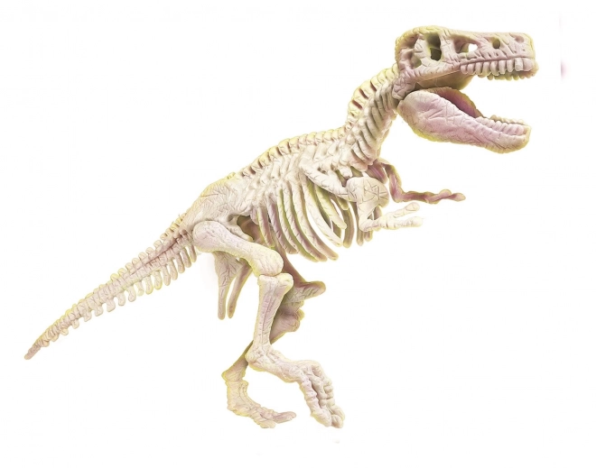 Clementoni archeológia készlet: T-Rex