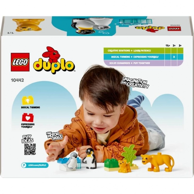 Duplo vadvilági családok: Pingvinek és oroszlánok