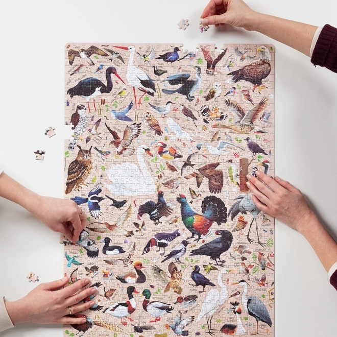 Puzzlove CzuCzu Madarak Lengyelország 1000 darab