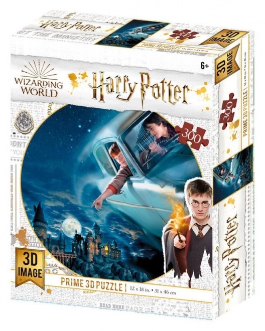 3D puzzle Harry Potter: Harry és Ron Roxfort felett