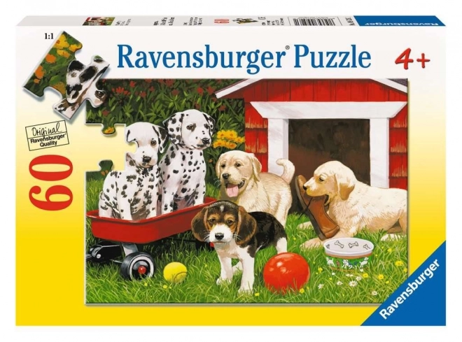 Ravensburger puzzle - Kutyaparti 60 darabos